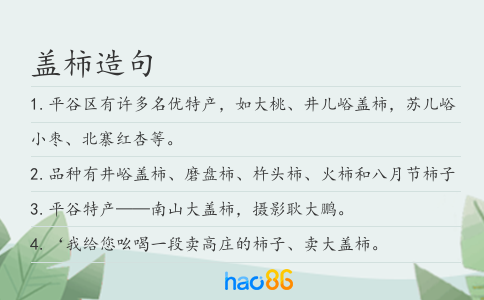 盖柿造句