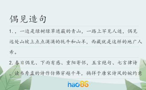 偶见造句