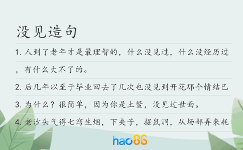 没见造句