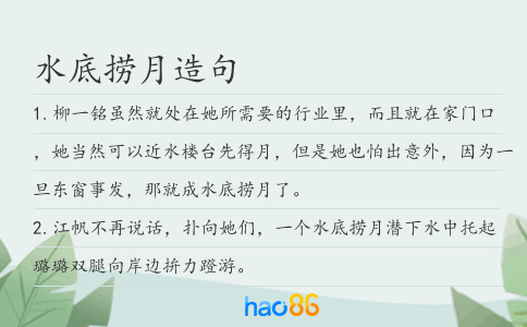 水底捞月造句