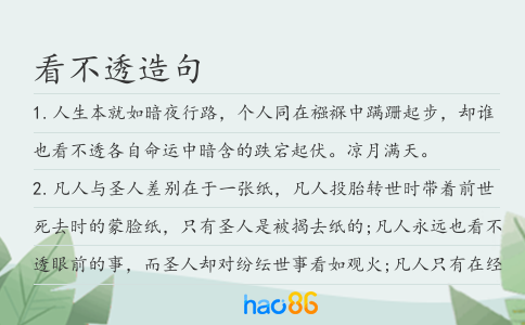 看不透造句