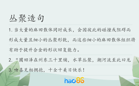 丛聚造句