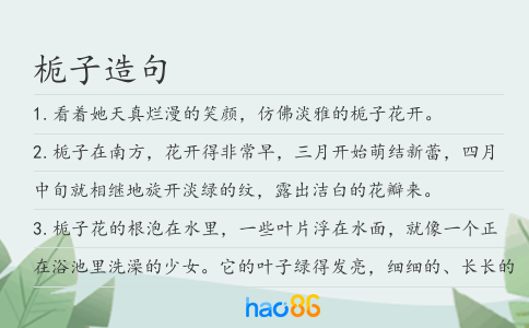 栀子造句