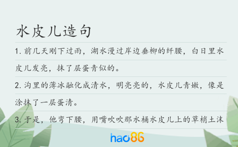 水皮儿造句