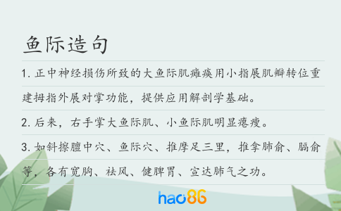 鱼际造句