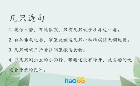 几只造句