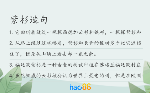 紫杉造句