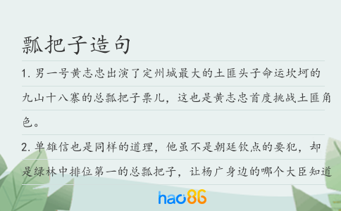 瓢把子造句