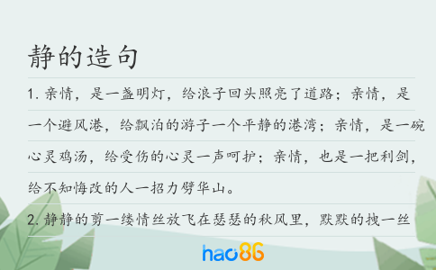 静的造句