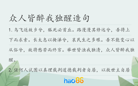 众人皆醉我独醒造句