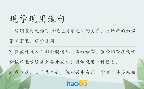 现学现用造句
