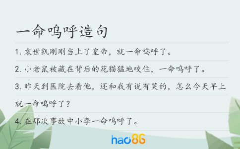 一命呜呼造句