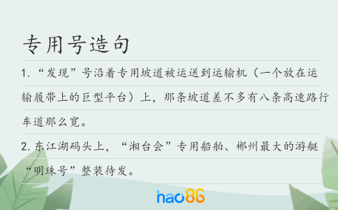 专用号造句