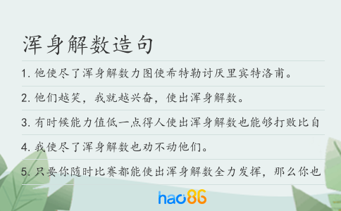 浑身解数造句