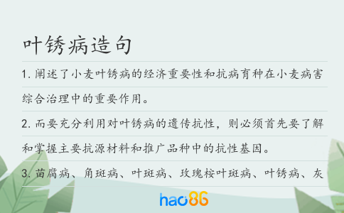 叶锈病造句