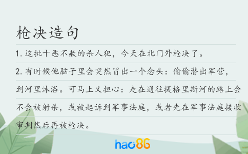 枪决造句