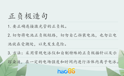 正负极造句