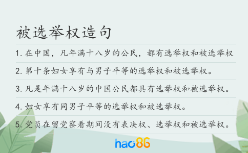 被选举权造句