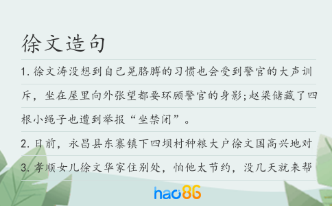 徐文造句