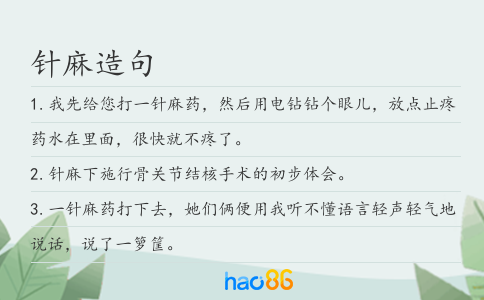 针麻造句