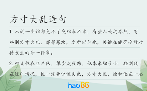 方寸大乱造句