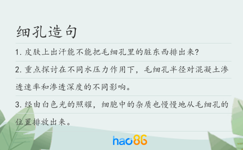细孔造句