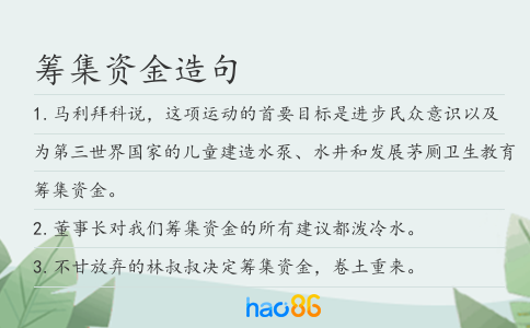 筹集资金造句