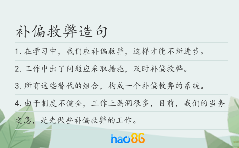 补偏救弊造句