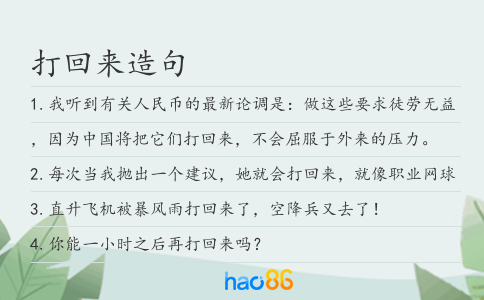 打回来造句