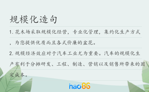 规模化造句