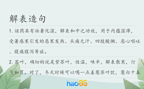 解表造句