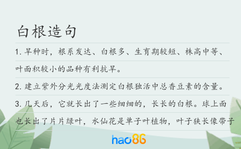白根造句