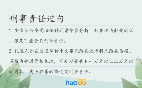 刑事责任造句