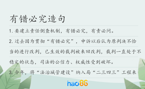 有错必究造句