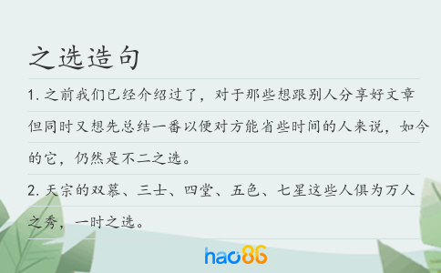 之选造句