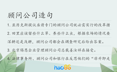 顾问公司造句