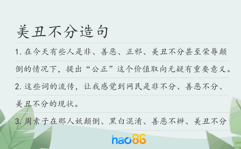 美丑不分造句
