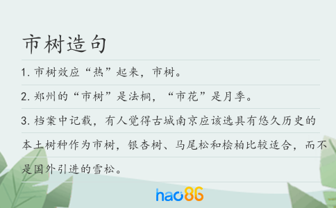 市树造句
