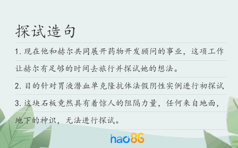 探试造句