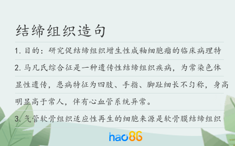 结缔组织造句