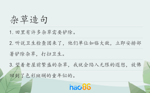 杂草造句