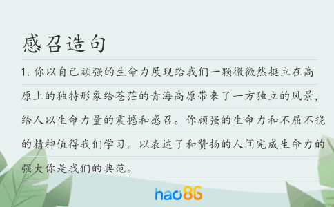 感召造句