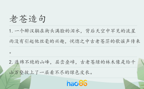 老苍造句