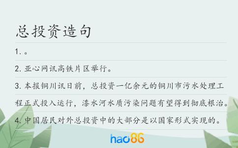 总投资造句