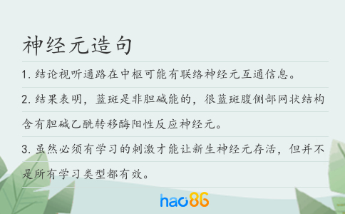 神经元造句