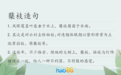 蘖枝造句