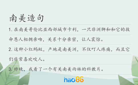 南美造句