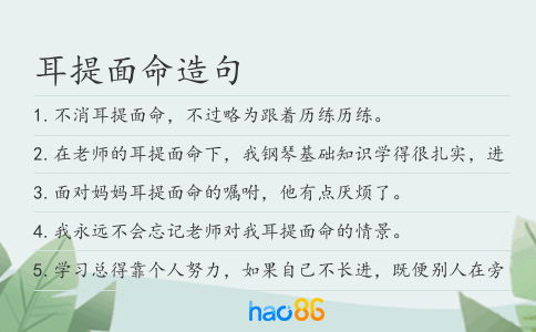 耳提面命造句