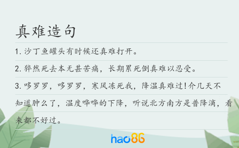 真难造句