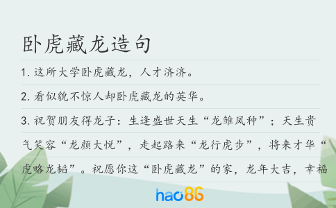 卧虎藏龙造句